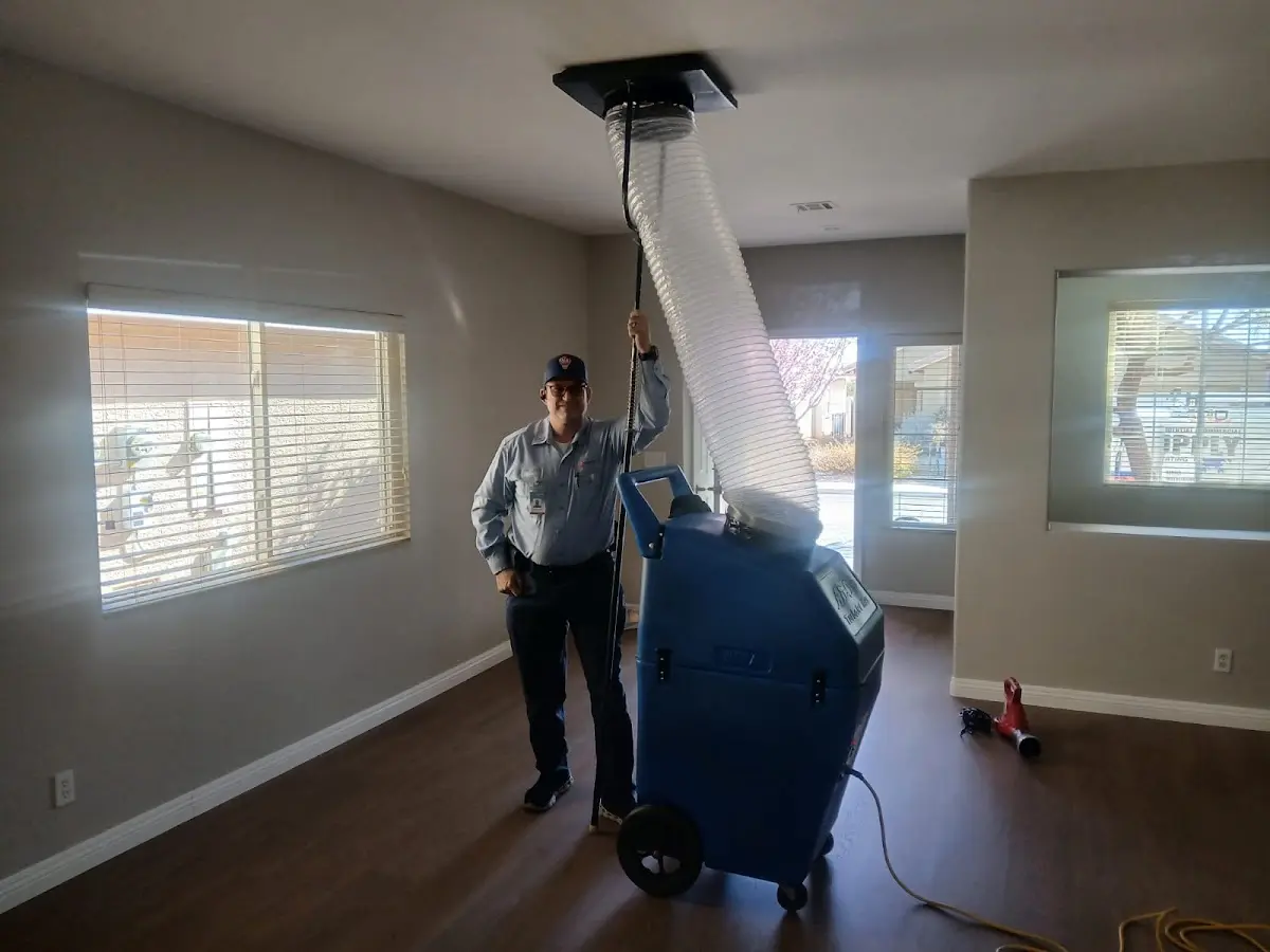 Professional Dryer Vent Cleaning work inside a Lenoir home